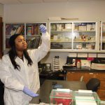 Southwestern Illinois College medical lab technician students work on a practical lab exercise.