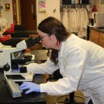 Southwestern Illinois College medical lab technician students work on a practical lab exercise.