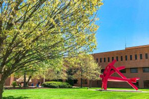 Quad in the Spring Time