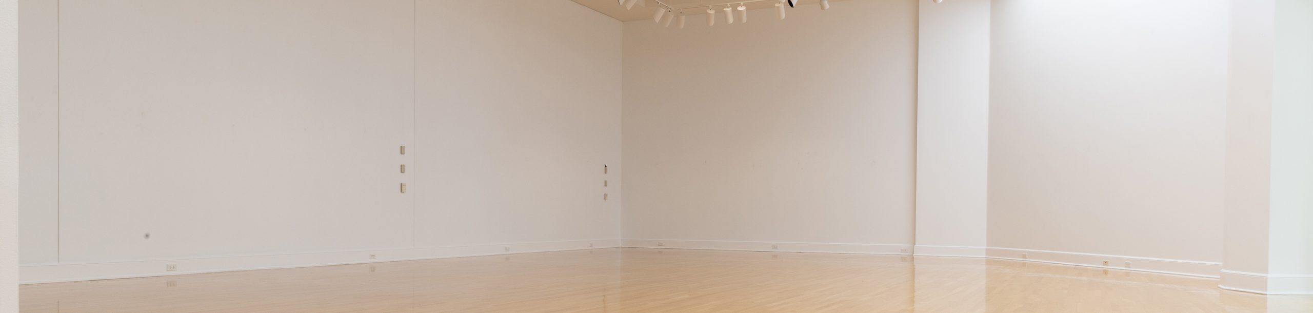 Blank interior of the Schmidt Art Center Marsh Gallery.