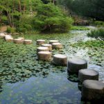 Success Center Blog Calm Down Water. Stepping stones over a stream.