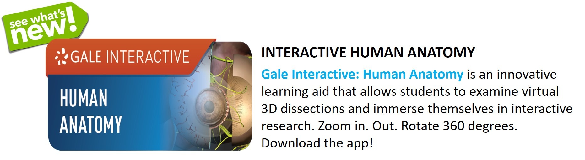 Library - Gale Interactive Human Anatomy