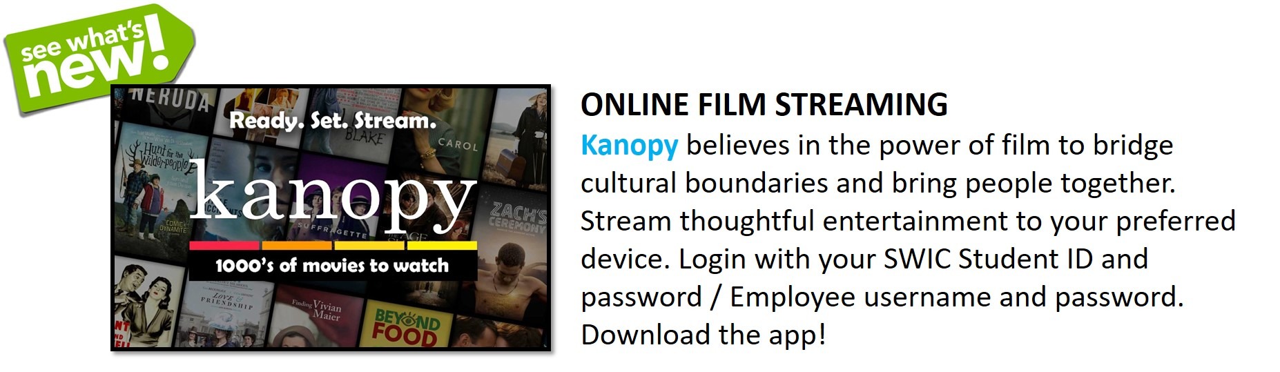 Library - Kanopy (3)